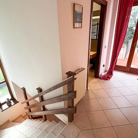 Pet Friendly In With Sauna *